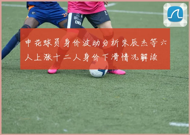 申花球员身价波动分析朱辰杰等六人上涨十二人身价下滑情况解读